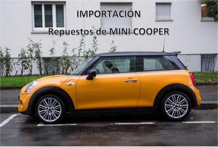 SE IMPORTA REPUESTOS PARA MINI COOPER